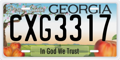 GA license plate CXG3317