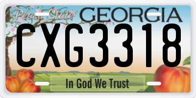 GA license plate CXG3318