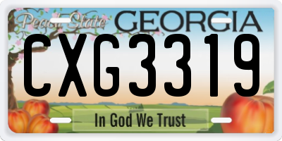 GA license plate CXG3319