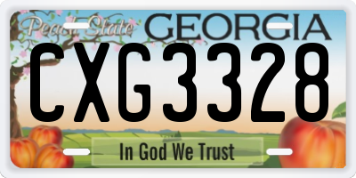 GA license plate CXG3328