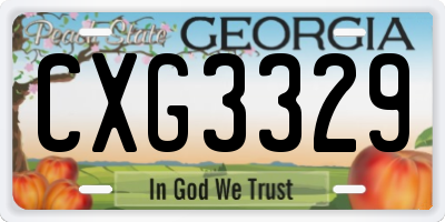 GA license plate CXG3329