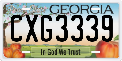 GA license plate CXG3339