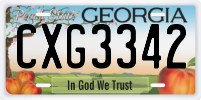 GA license plate CXG3342