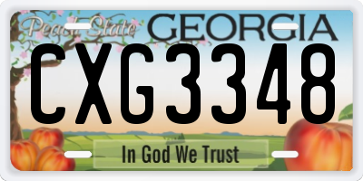 GA license plate CXG3348
