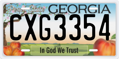 GA license plate CXG3354
