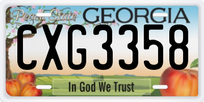 GA license plate CXG3358