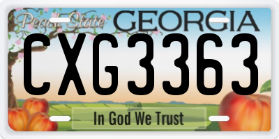 GA license plate CXG3363