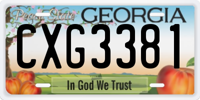 GA license plate CXG3381