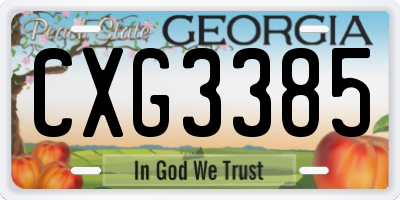 GA license plate CXG3385