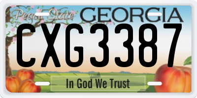 GA license plate CXG3387