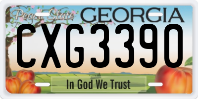GA license plate CXG3390