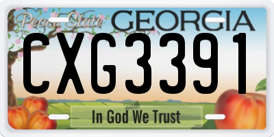 GA license plate CXG3391