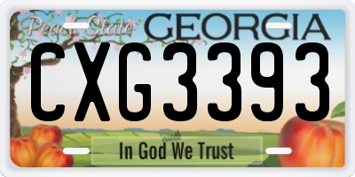 GA license plate CXG3393