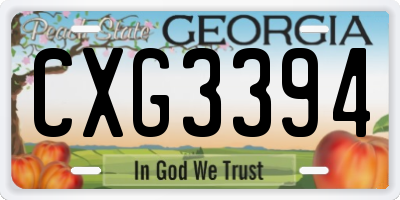 GA license plate CXG3394
