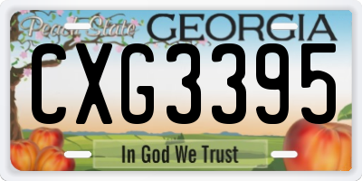GA license plate CXG3395