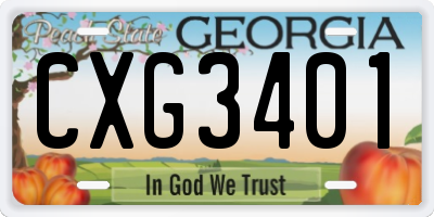 GA license plate CXG3401