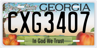 GA license plate CXG3407