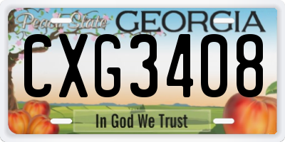 GA license plate CXG3408
