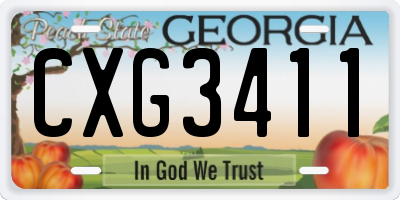 GA license plate CXG3411