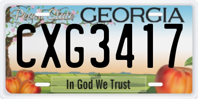 GA license plate CXG3417