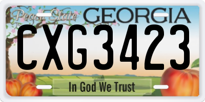 GA license plate CXG3423