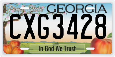 GA license plate CXG3428