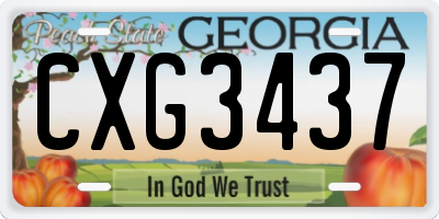 GA license plate CXG3437