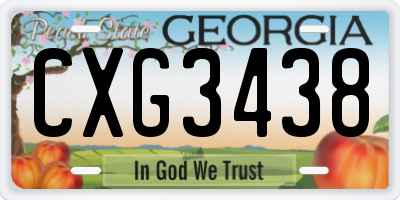 GA license plate CXG3438