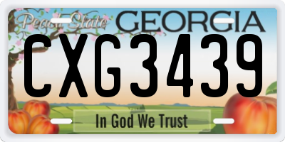 GA license plate CXG3439