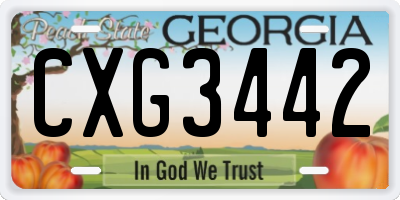 GA license plate CXG3442