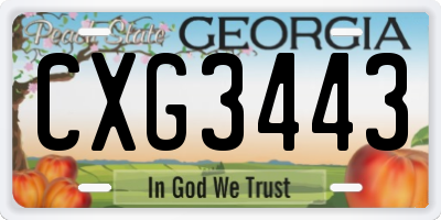 GA license plate CXG3443