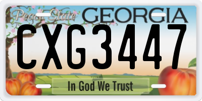 GA license plate CXG3447