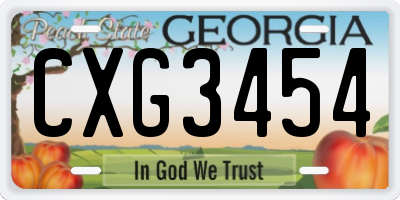 GA license plate CXG3454