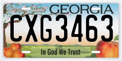 GA license plate CXG3463