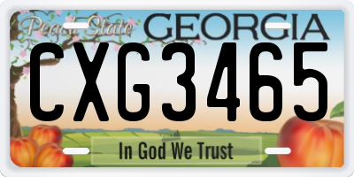 GA license plate CXG3465