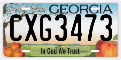 GA license plate CXG3473