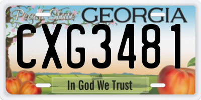 GA license plate CXG3481