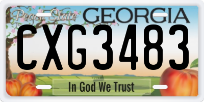 GA license plate CXG3483