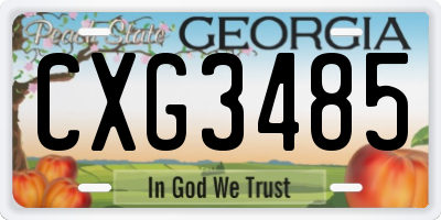 GA license plate CXG3485