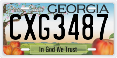 GA license plate CXG3487
