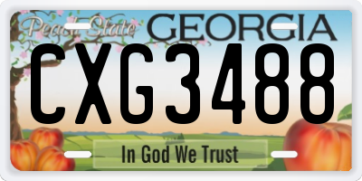 GA license plate CXG3488