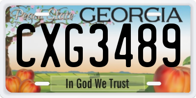 GA license plate CXG3489