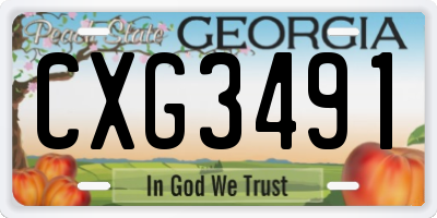 GA license plate CXG3491