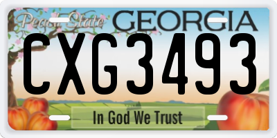 GA license plate CXG3493
