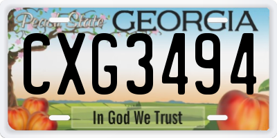GA license plate CXG3494