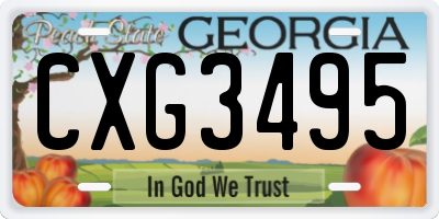 GA license plate CXG3495