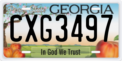 GA license plate CXG3497