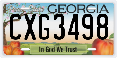 GA license plate CXG3498