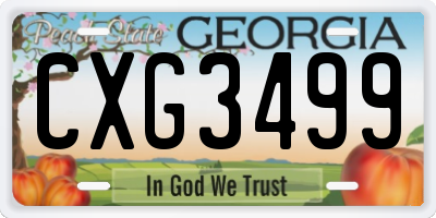 GA license plate CXG3499