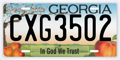 GA license plate CXG3502